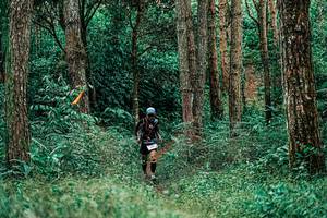 BIB: 
                            <button type="button" onclick="openModal(25238163)" class="btn btn-primary btn-sm float-right btn-popup" data-toggle="modal" data-target=".modal-high-quality">
                        <i class="fas fa-shopping-cart"></i> Add to Cart
                    </button>
                                            <button type="button" onclick="isThisMe(25238163, true)" class="btn btn-success btn-sm float-right btn-popup btn-isme hidden" data-toggle="tooltip" data-placement="bottom" title="นี่คือรูปของคุณใช่ไหม คลิกที่นี่เพื่อเอาเข้าอัลบั้ม">
                        <i class="fas fa-plus"></i> Add to album
                    </button>
                    <button type="button" onclick="isThisMe(25238163, false)" class="btn btn-warning btn-sm float-right btn-popup btn-isnotme hidden">
                        <i class="fas fa-ban"></i> Remove from album
                    </button>